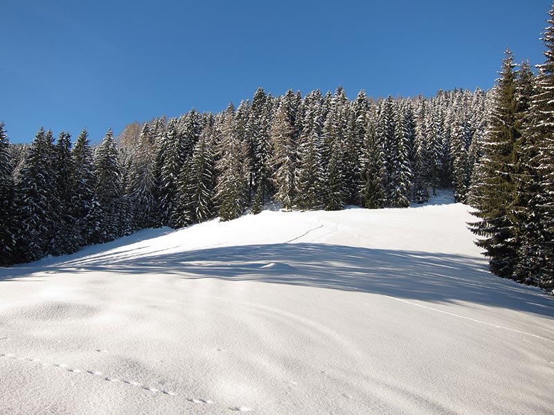 hochschlag